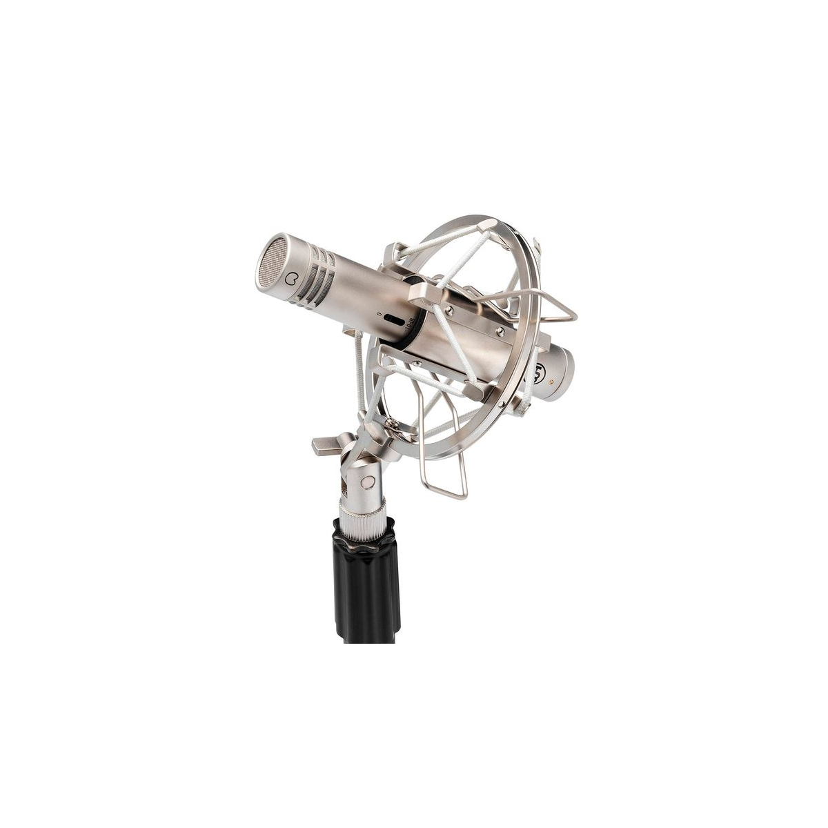 Micros studio - Warm Audio - WA-84-C Nickel