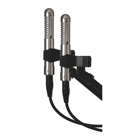 Micros instruments - Warm Audio - WA-FT Fen-tone Stereo Paire