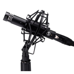 	Micros studio - Warm Audio - WA-84-C-B-ST (La paire)