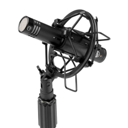 	Micros studio - Warm Audio - WA-84-C-B-ST (La paire)