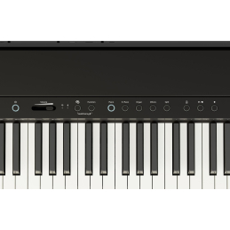 	Pianos numériques portables - Roland - FP-40 (Noir)
