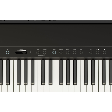 Pianos numériques portables - Roland - FP-40 (Noir)