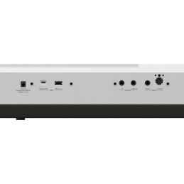 	Pianos numériques portables - Roland - FP-40 (Blanc)