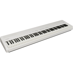 	Pianos numériques portables - Roland - FP-40 (Blanc)