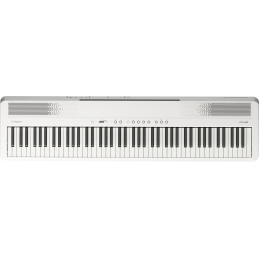 	Packs Claviers et Synthé - Roland - Pack FP-40 + KSF-40-WH +...