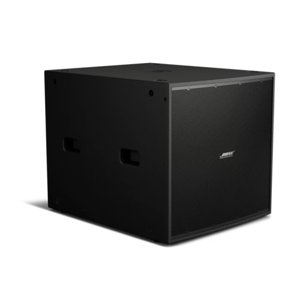Caissons de basse passifs - Bose Professional - ShowTime STS118E Black