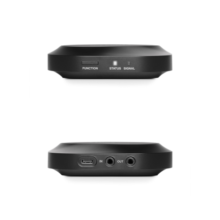 Casques de studio - Lewitt - LW6