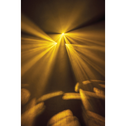 	Jeux de lumière LED - Showtec - Dataflower