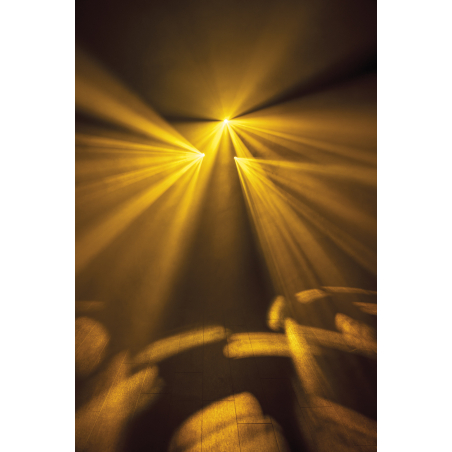 Jeux de lumière LED - Showtec - Dataflower