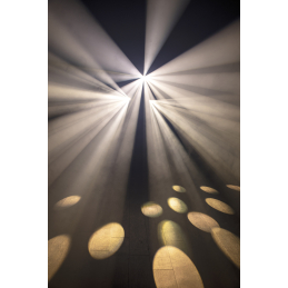 	Jeux de lumière LED - Showtec - Dataflower