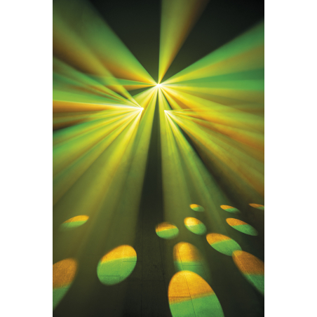Jeux de lumière LED - Showtec - Dataflower