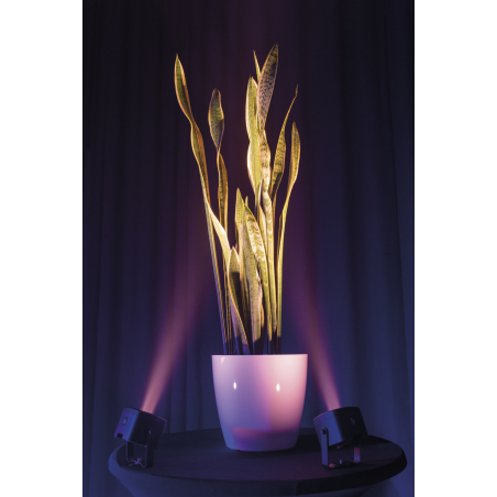Projecteurs PAR LED - Showtec - EventDOT 15 Q4