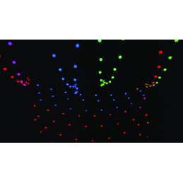 	Guirlandes Guinguettes - Showtec - Festoonlight Q4 Booster