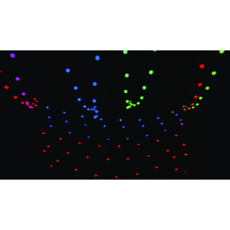 Guirlandes Guinguettes - Showtec - Festoonlight Q4 Booster