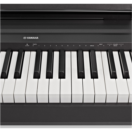 Packs Claviers et Synthé - Yamaha - Pack P-45 + KS 3 + ST-1