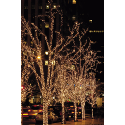 	Guirlandes Guinguettes - Showtec - LED Rubber Static String...