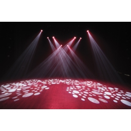 	Lyres spot - Showtec - Shark Combi Spot One